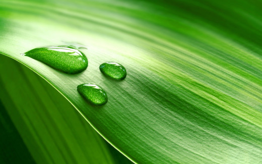 491929 (a): :1920x1200